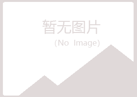 宁夏代曼能源有限公司